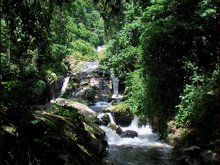 Soi Dao Waterfalls