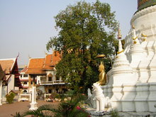 Wat Bupparam