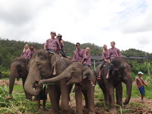 Chiang Mai Elephant Safari 