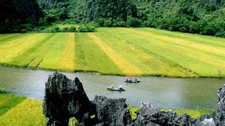 Hoa Lu - Tam Coc Tour 