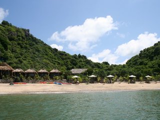 Monkey Island Resort