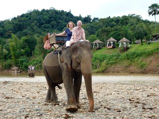 Luang Prabang - Elephant Ride (B)