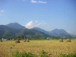 Chiang Mai - Mae Chan (B, L) 