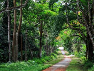 Hanoi - Cuc Phuong National Park (B, L, D)