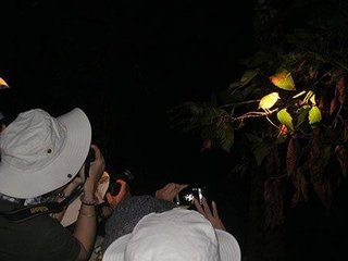 Park Headquarters – Safari Night (B, L, D)