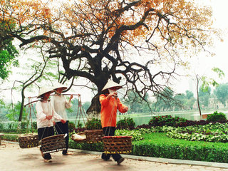 Hanoi Arrival