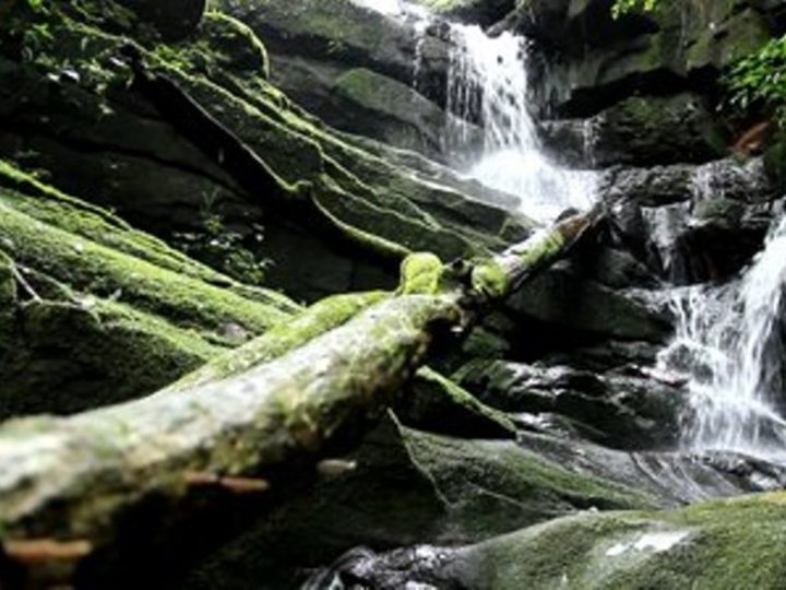 Soi Dao Waterfalls