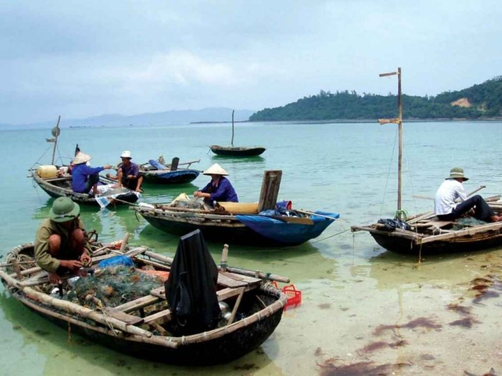 Co To Island