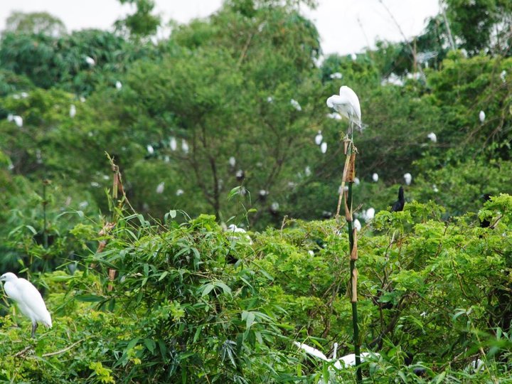 Bang Lang Stork Garden