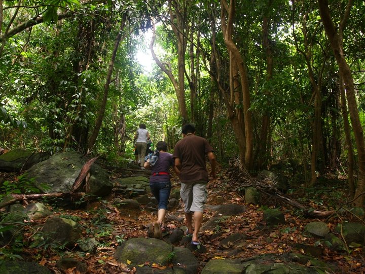 Con Dao National Park