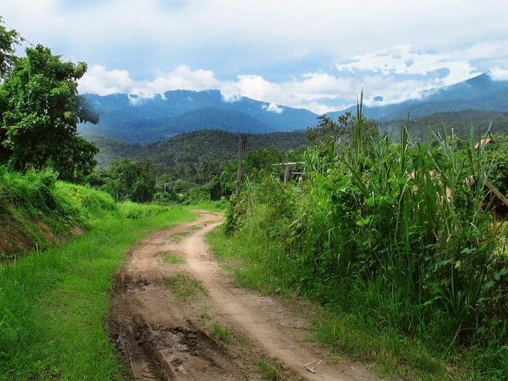 Doi Suthep-Pui National Park 