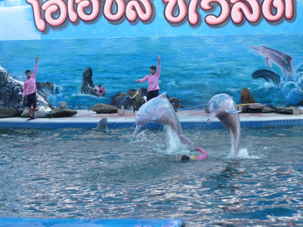 Oasis Sea World Chanthaburi Attractions Viet Holiday Travel