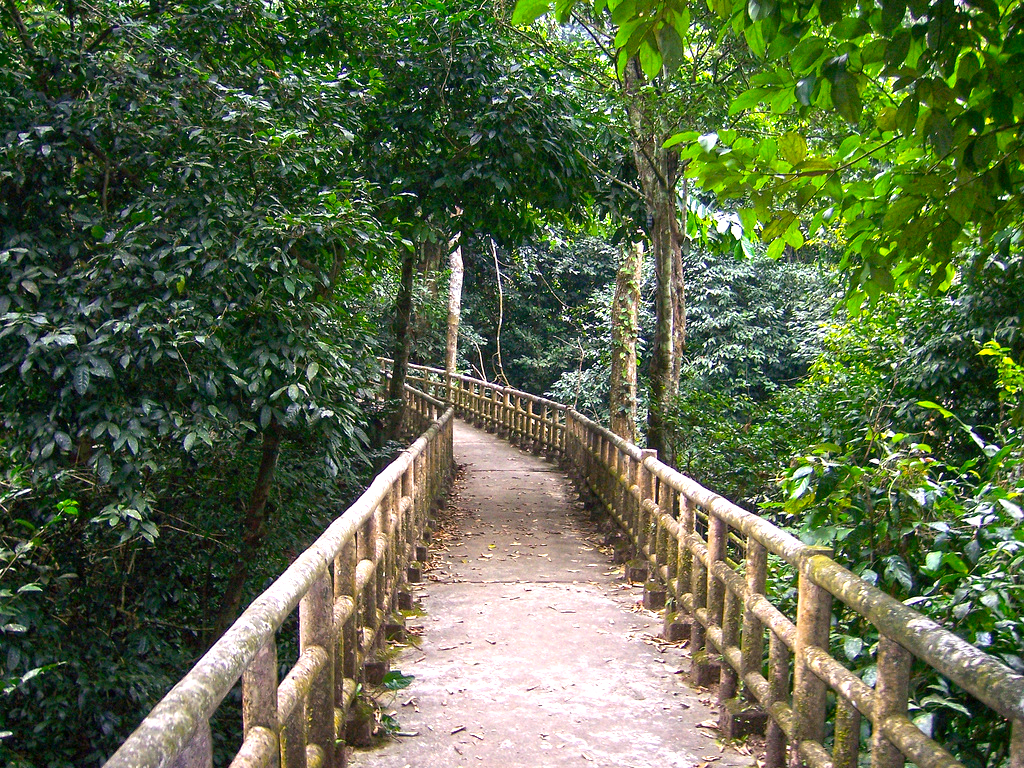 Cuc Phuong National Park | Ninh Binh Attractions | Viet Holiday Travel