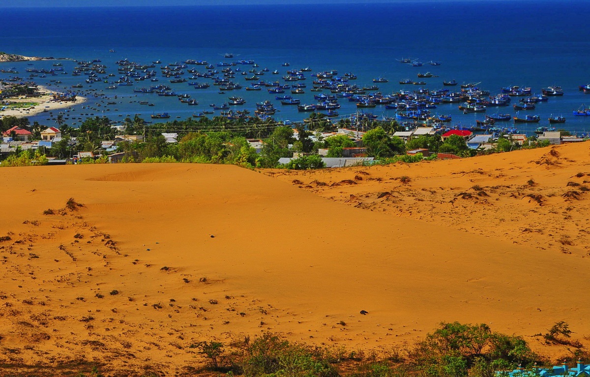 Mui Ne Market and Fishing Harbour Phan Thiet Attractions Viet