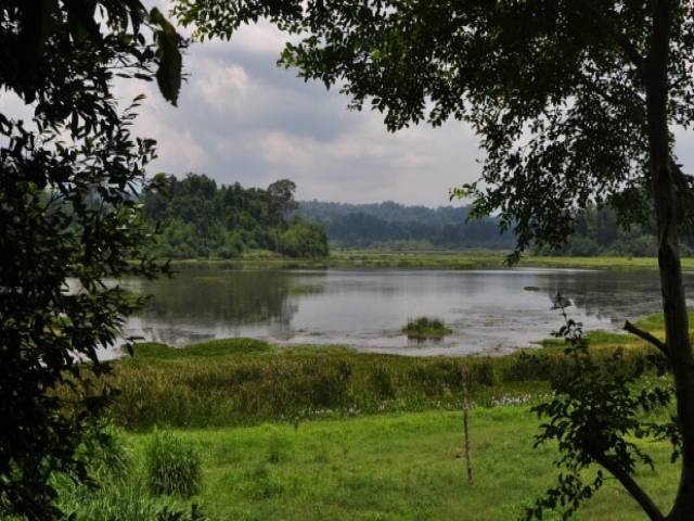 cat-tien-park-vietnam-620x380_0.jpg